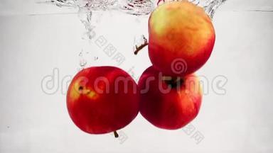 <strong>红<strong>苹果</strong>带泡泡落水的慢动作视频.. 孤立的白色背景上的<strong>水果</strong>。